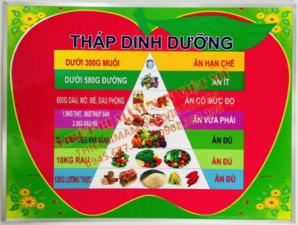 Bảng Tháp Dinh Dưỡng Quả Táo Vm 6845