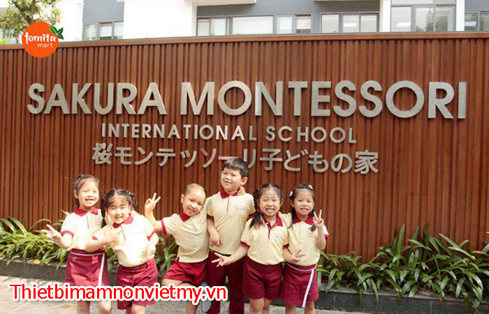 Sakura Montessori International School – SMIS