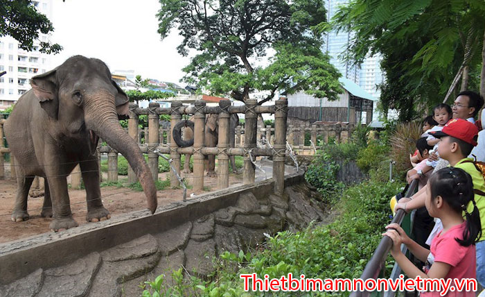 Tet Duong Lich Dan Tre Di Dau Choi O Sai Gon 19