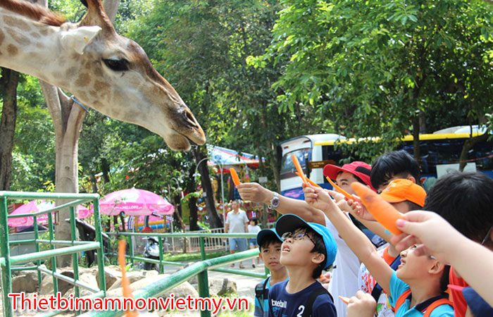 Tet Duong Lich Dan Tre Di Dau Choi O Sai Gon 20