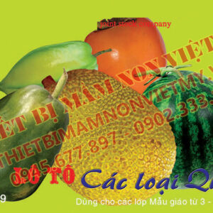 Lô Tô Quả
