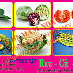 Lô Tô Thực Vật (rau, Củ, Quả)