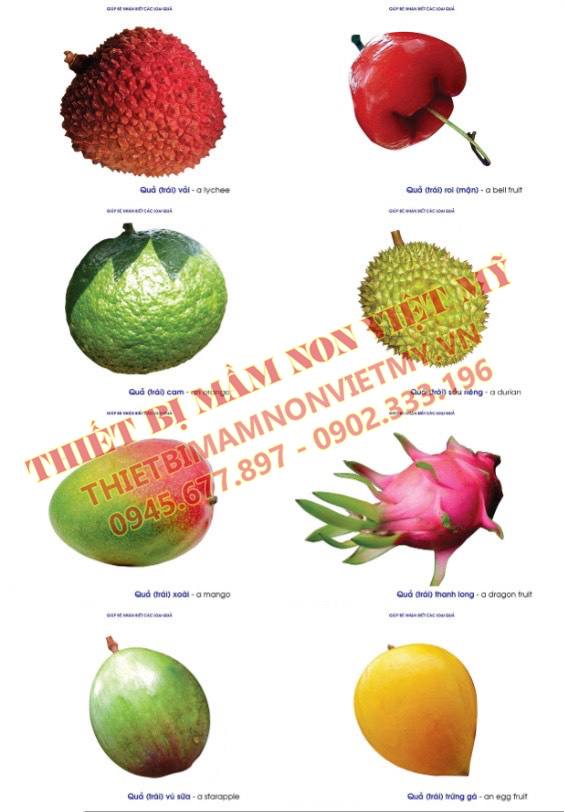 Tranh Các Loại Quả 2