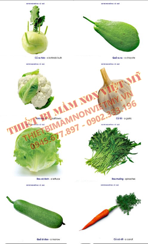 Tranh Các Loại Rau Củ Quả 1