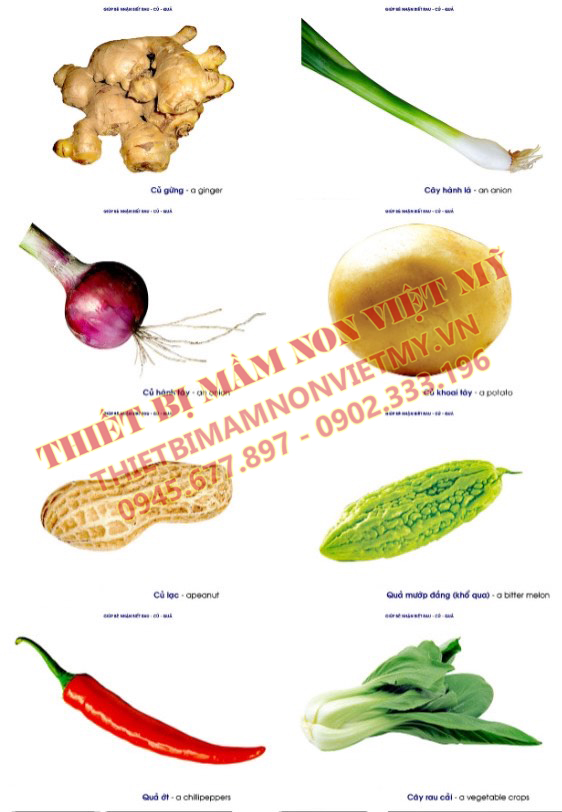 Tranh Các Loại Rau Củ Quả 2