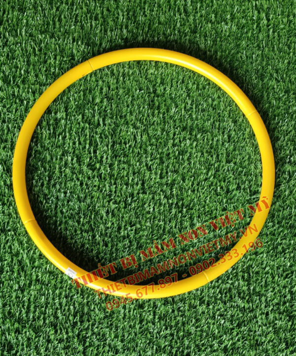 Vòng Thể Dục Các Cỡ 30 40 50 60cm 3